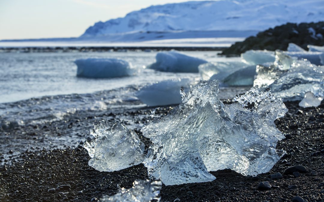 Et grønt Europa: Kommissionen præsenterer klimaplan