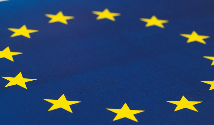 Direktør til Festival of Europe søges