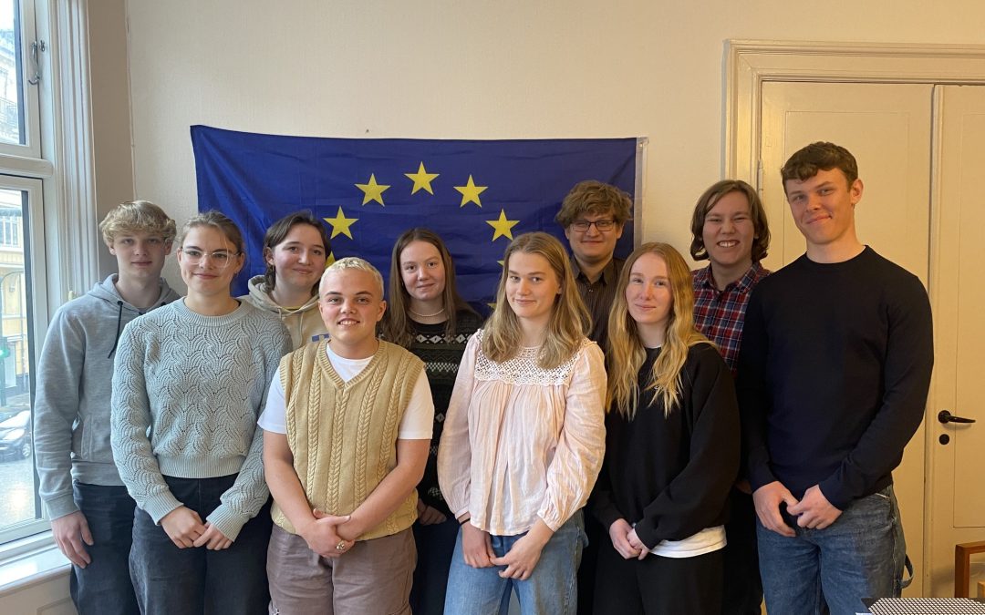 Det Europæiske Ungeråd ser dagens lys