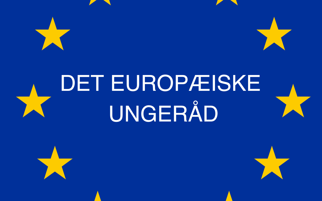 Det Europæiske Ungeråd: Ungdommens Stemme i EU-Politik