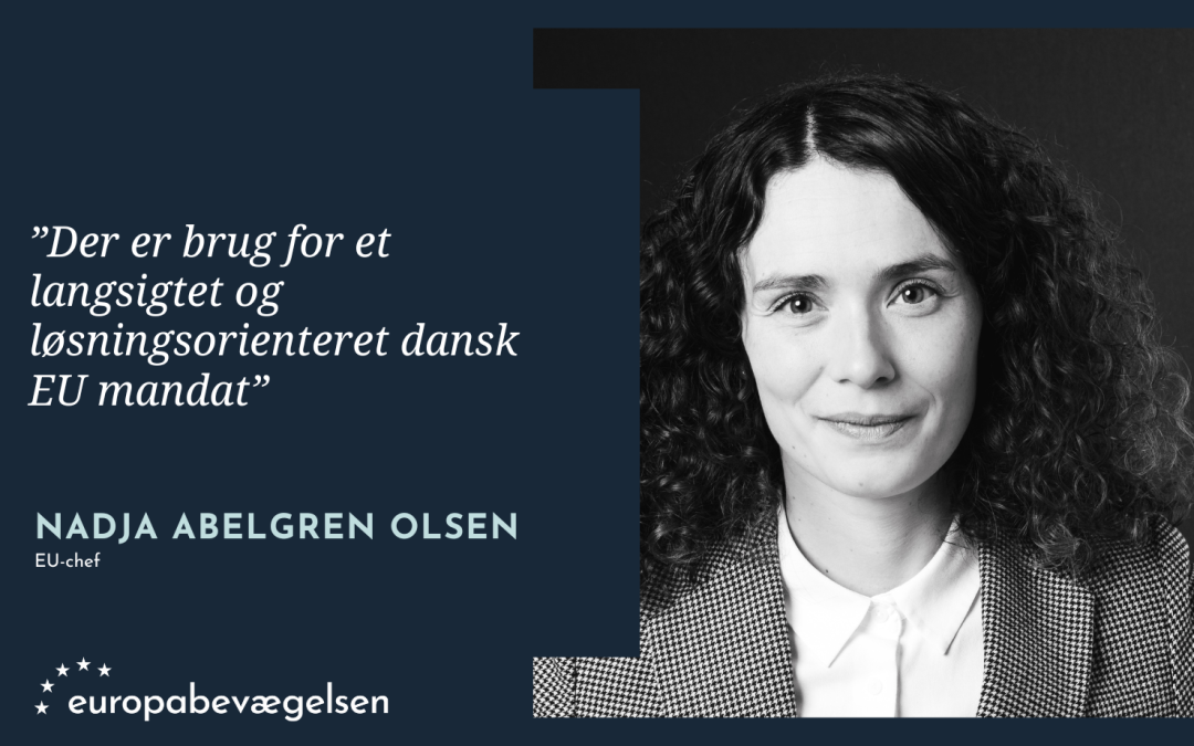 Behov for en bæredygtig europapolitisk aftale