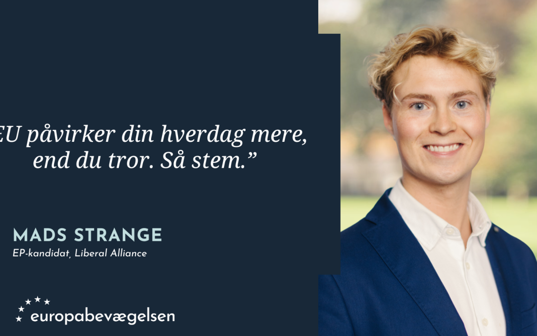 Din stemme kan skubbe til EU