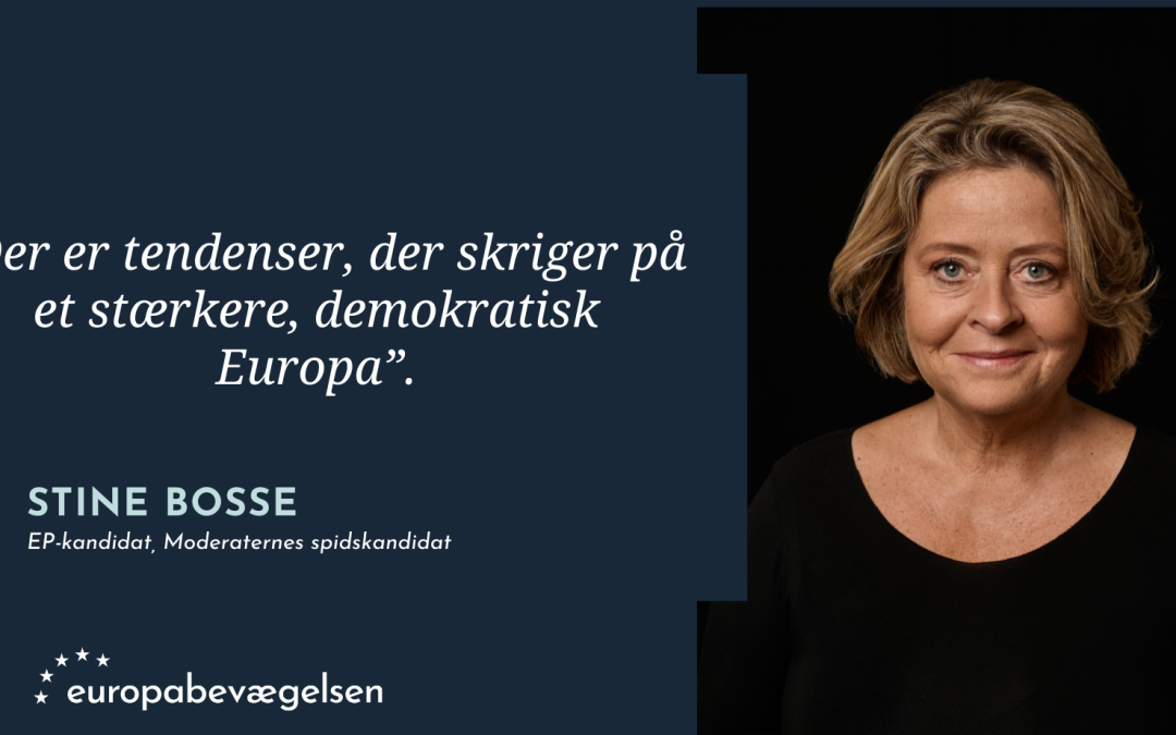 Sommerens Europa-Parlamentsvalg bliver et skæbnevalg