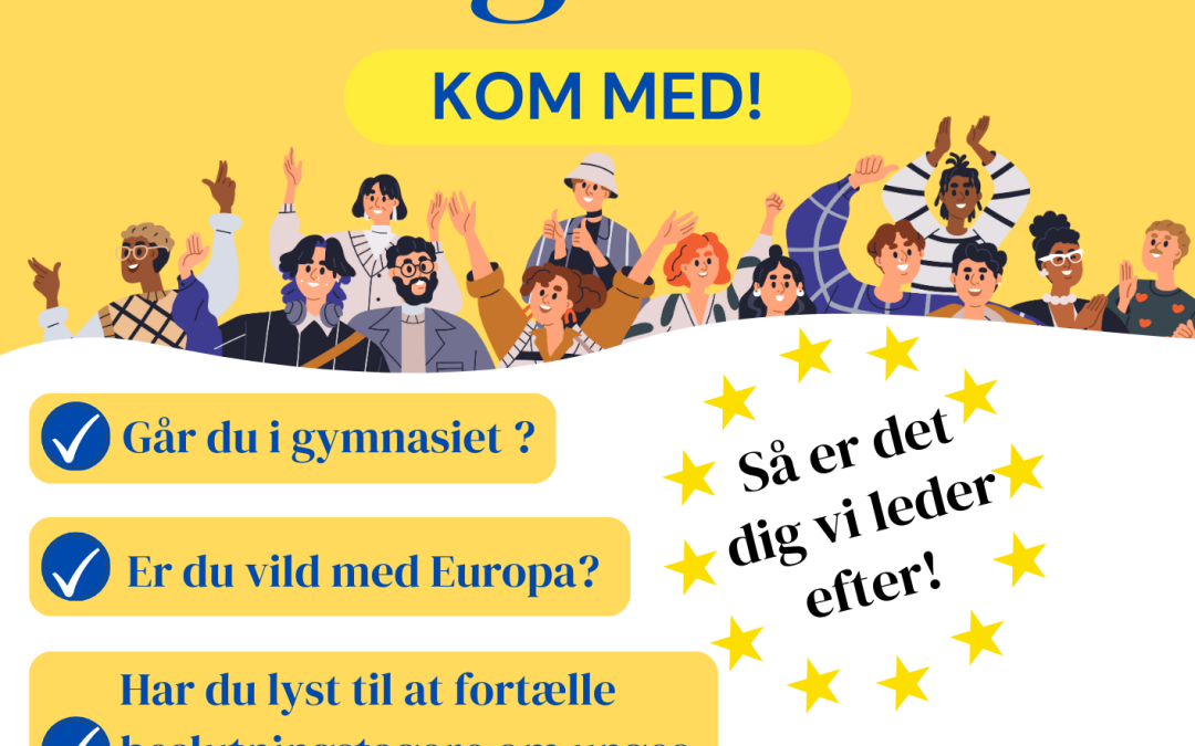 Vil du være medlem af Det Europæiske Ungeråd?